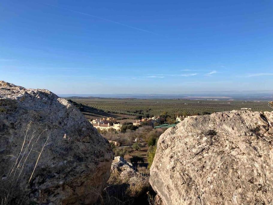 Casa Picual, Mancha Real, Jaen Villa Kültér fotó